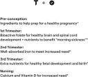 Thorne investigación – Basic – Ácido Fólico para mujer Multivitamínico Prenatal – 90 Cápsulas vegetarianas Fashion