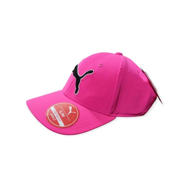 PUMA Evercat Dillon - Gorra elástica For Discount