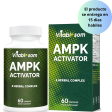 AMPK Suplemento activador, 5 en 1 Jiaogulan Gynostemma AMPK activador metabólico 60 cápsulas vegetarianas Cheap