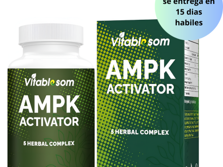 AMPK Suplemento activador, 5 en 1 Jiaogulan Gynostemma AMPK activador metabólico 60 cápsulas vegetarianas Cheap