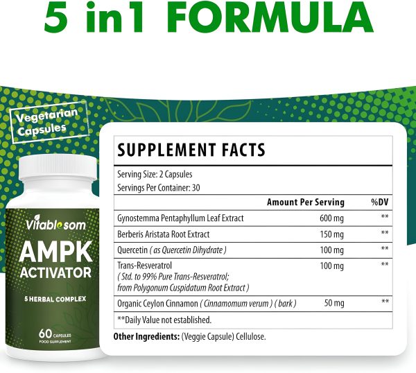 AMPK Suplemento activador, 5 en 1 Jiaogulan Gynostemma AMPK activador metabólico 60 cápsulas vegetarianas Cheap