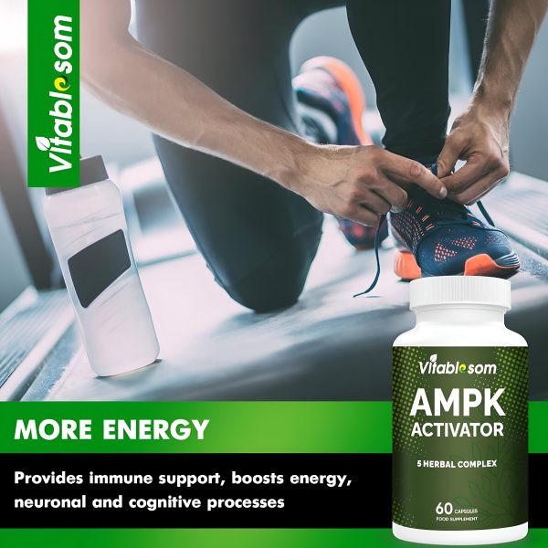 AMPK Suplemento activador, 5 en 1 Jiaogulan Gynostemma AMPK activador metabólico 60 cápsulas vegetarianas Cheap