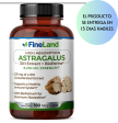 Astragalus 30:1 extract + bioperine FineLand - 180 capsulas Online Hot Sale