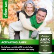 AMPK Suplemento activador, 5 en 1 Jiaogulan Gynostemma AMPK activador metabólico 60 cápsulas vegetarianas Cheap