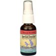 Super Kids Throat Spray Peppermint 1 oz from Herbs For Kids Online Sale