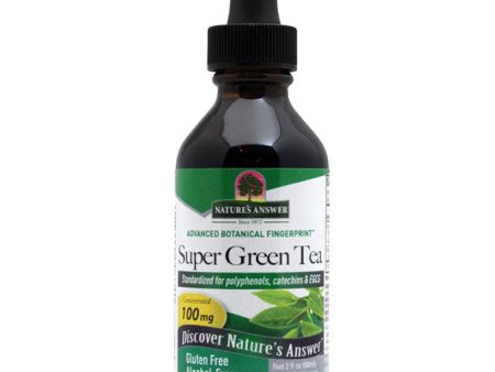 Super Green Tea Extract Liquid High Potency, Alcohol-Free, 2 oz, Nature s Answer on Sale