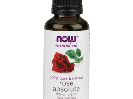 Rose Absolute Oil Blend, Natural Essential Oil, 1 oz, NOW Foods Online