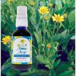 Arnica Allay, Herbal Flower Oil, 2 oz, Flower Essence Services For Sale