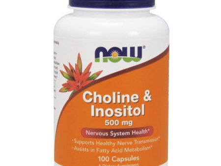 Choline & Inositol 250mg 100 Caps, NOW Foods Hot on Sale