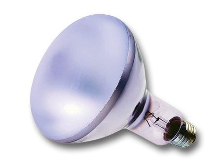 Chromalux Light Bulb Frosted Reflector R30 - 72W, 1 Bulb, Lumiram Online Sale