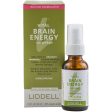 Liddell Vital Brain Energy Spray, Homeopathic Memory Aid, 1 oz Online Hot Sale