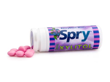 Spry Xylitol Mints - Berry Blast, 45 ct x 6 Tubes, Xlear (Xclear) Sale