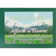 Affirm a Flower, Set of Range of Light Flower Cards - Spanish, 48 pc, Flower Essence Services For Discount