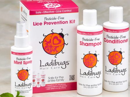 Lice Prevention Kit, 3 pc, Ladibugs Haircare For Sale