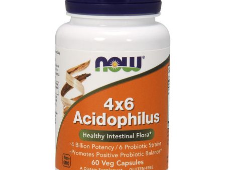 Acidophilus 4 X 6, 60 Caps, NOW Foods Hot on Sale