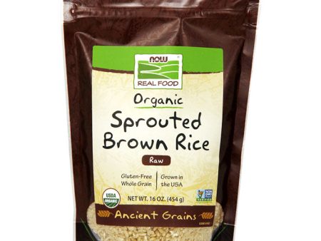 Sprouted Brown Rice, Organic, 16 oz, NOW Foods Fashion