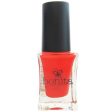 Bonita Salon Nail Polish - Red Vines, 0.5 oz (15 ml), Bonita Cosmetics For Discount