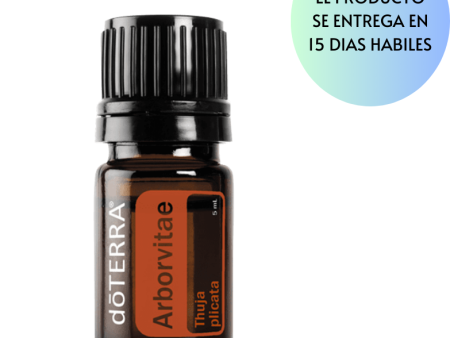 Arborvitae Oil  Thuja plicata 5ml Online