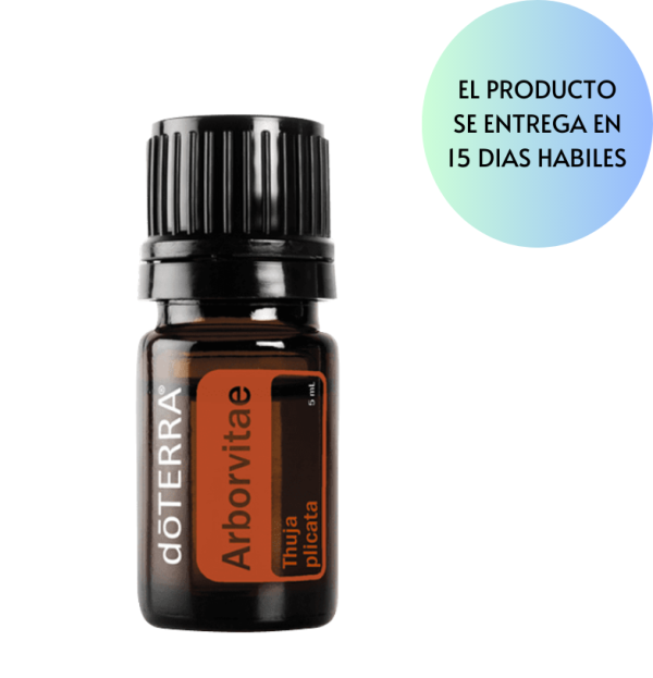 Arborvitae Oil  Thuja plicata 5ml Online